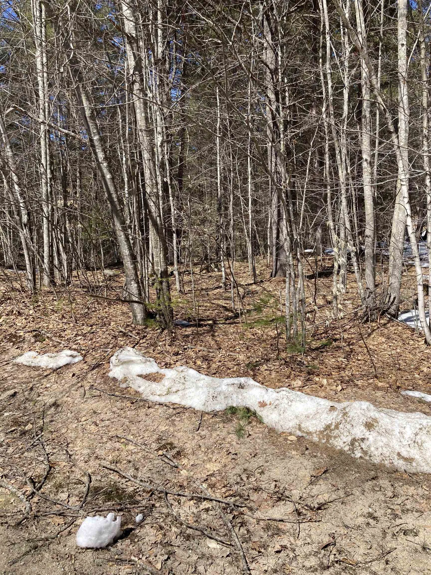 0 Alden Washburn Drive Tamworth NH 03886