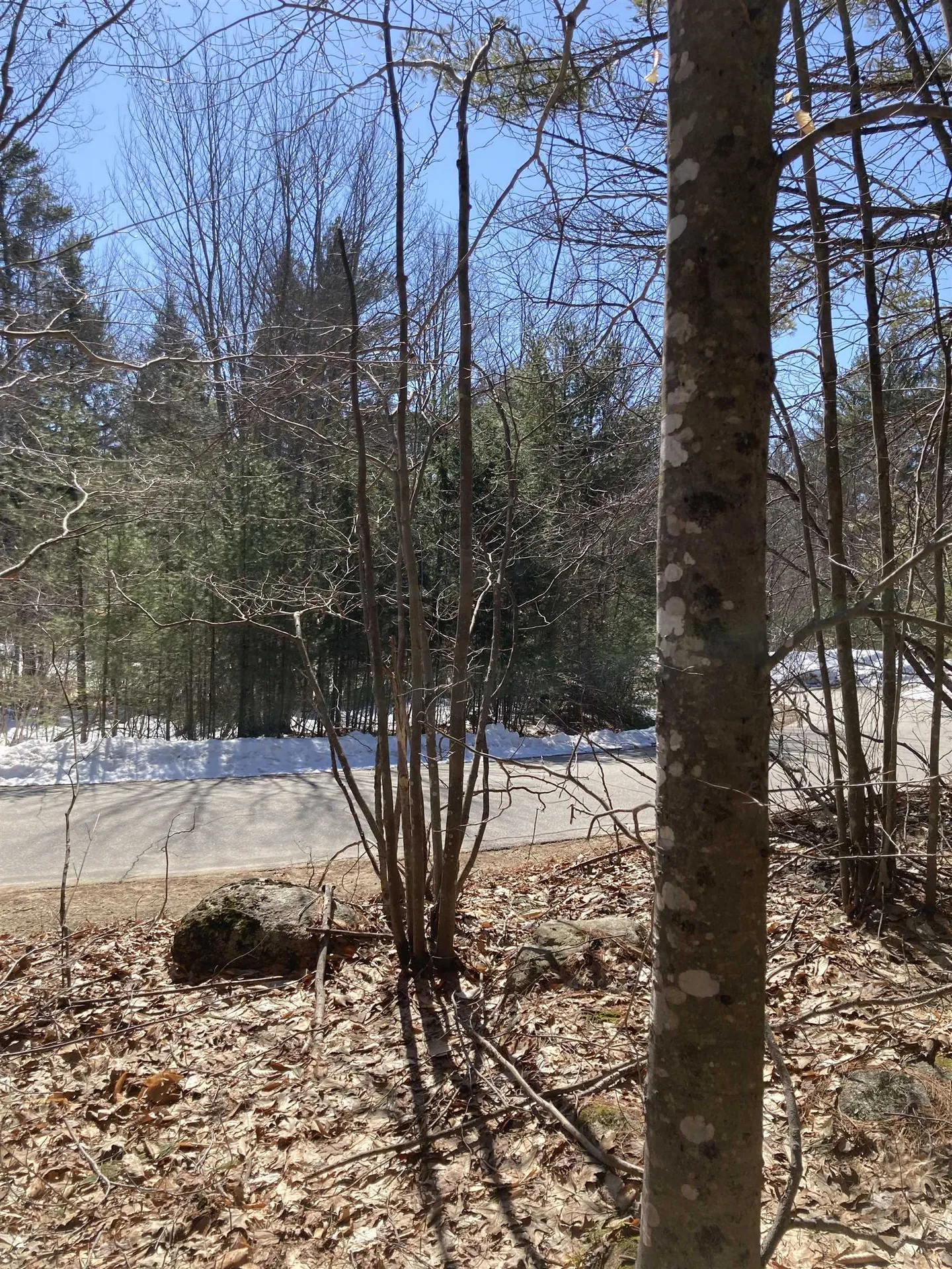 0 Alden Washburn Drive Tamworth NH 03886