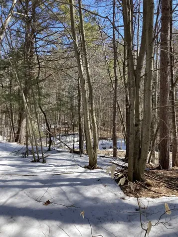 0 Alden Washburn Drive Tamworth NH 03886