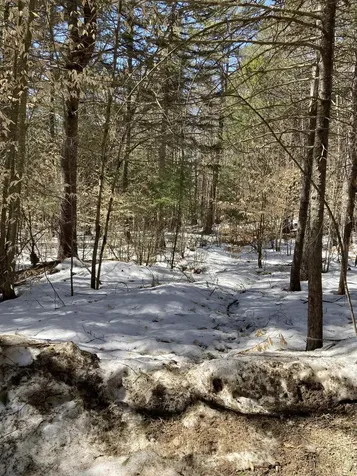 0 Alden Washburn Drive Tamworth NH 03886