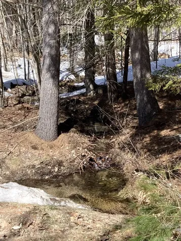 0 Alden Washburn Drive Tamworth NH 03886