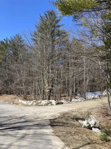 0 Alden Washburn Drive Tamworth NH 03886