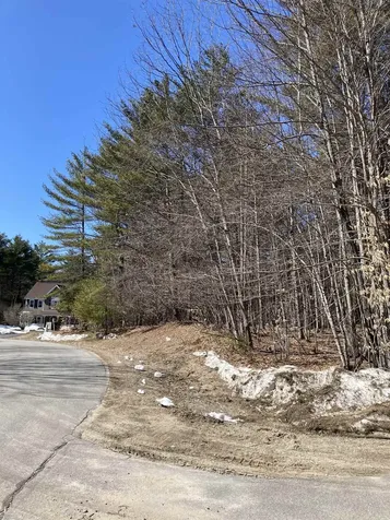 0 Alden Washburn Drive Tamworth NH 03886