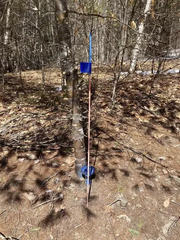 0 Alden Washburn Drive Tamworth NH 03886