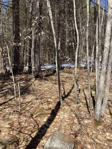 0 Alden Washburn Drive Tamworth NH 03886