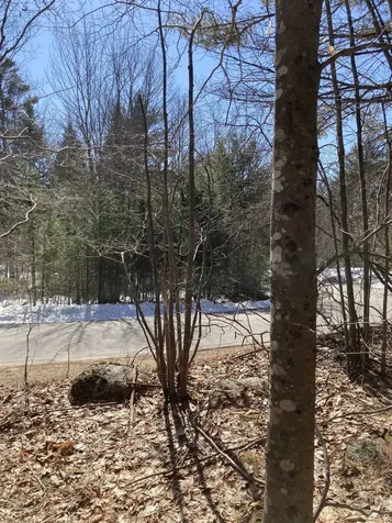 0 Alden Washburn Drive Tamworth NH 03886