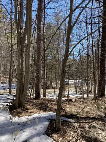 0 Alden Washburn Drive Tamworth NH 03886