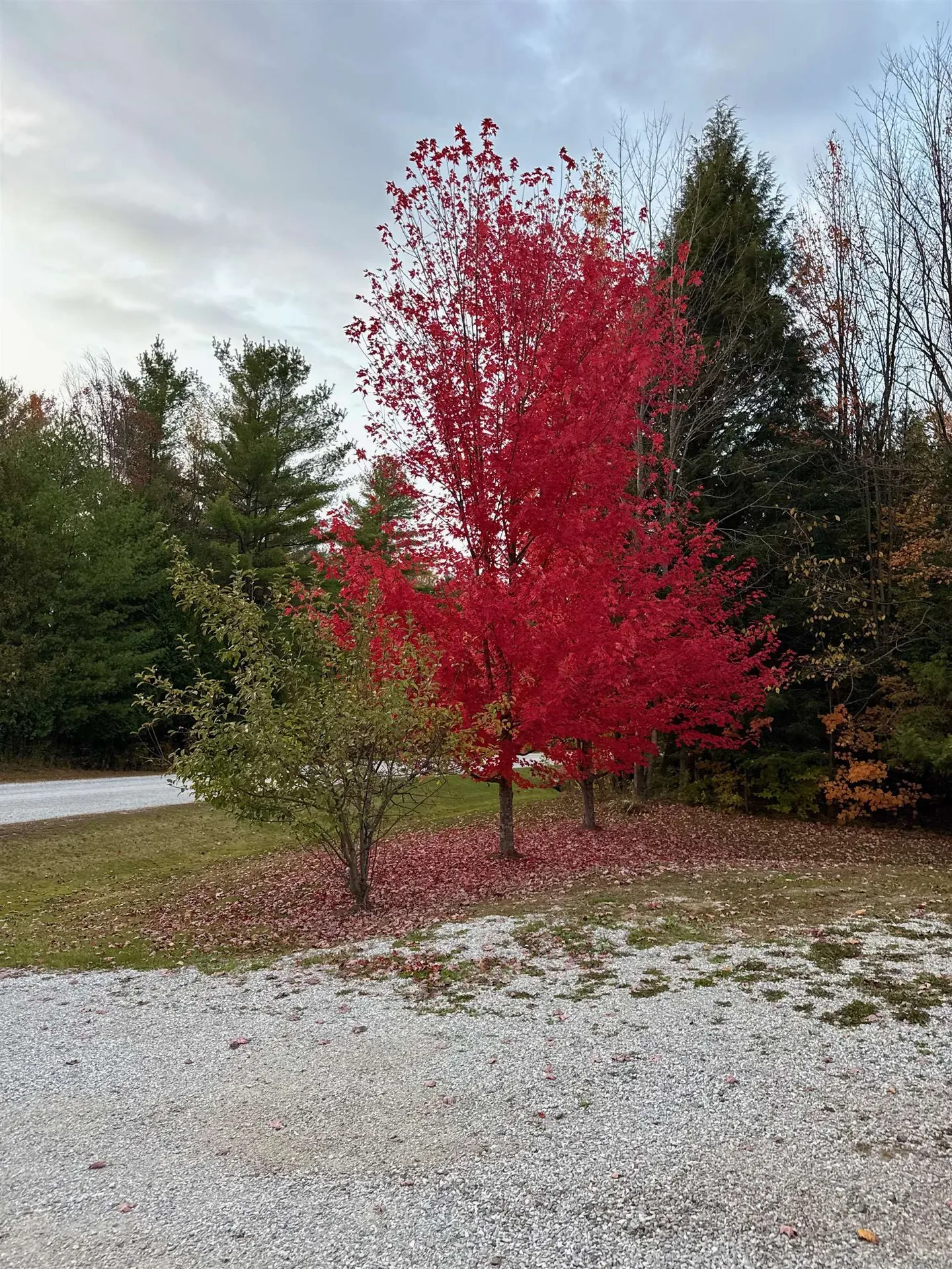 34 Gaudette Farm Road Fairfax VT 05454