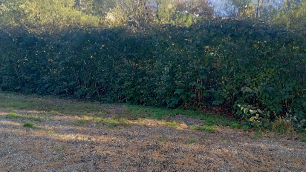 294 River Road Claremont NH 03743