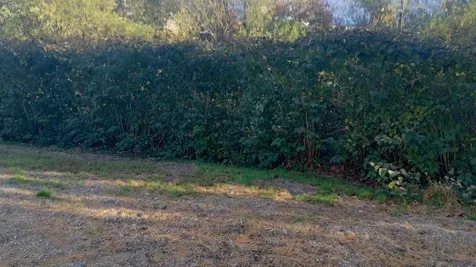 294 River Road Claremont NH 03743