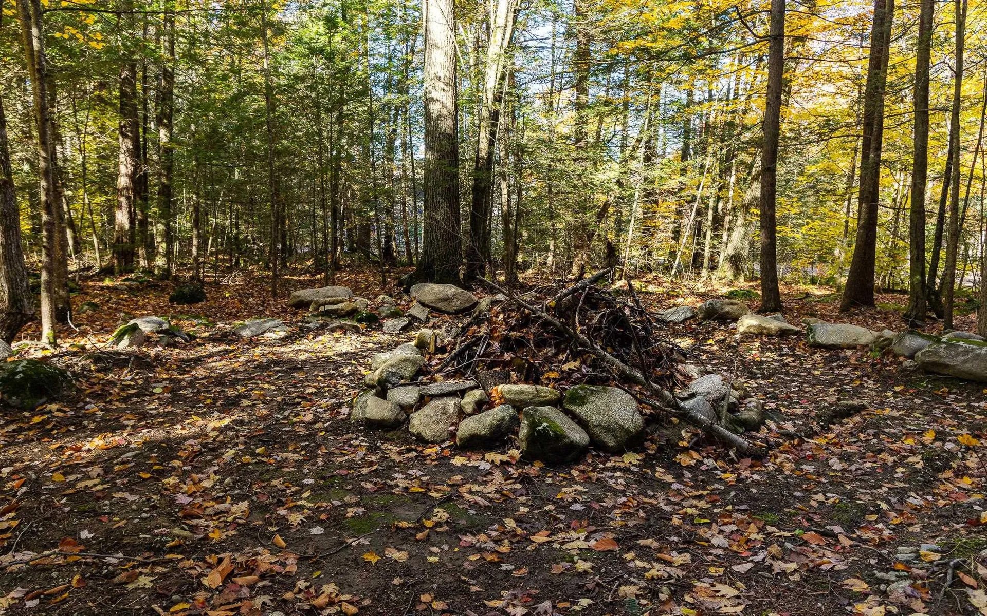 55 Sunset Circle Alstead NH 03602