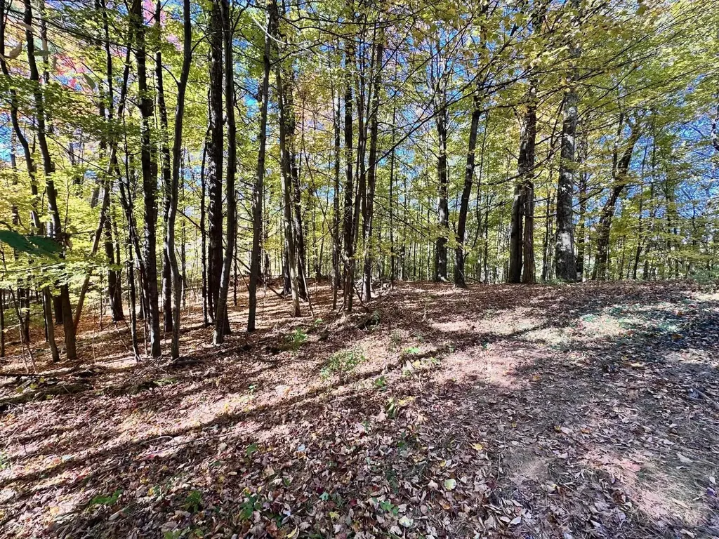 429 Coy Hill Road Middletown Springs VT 05757