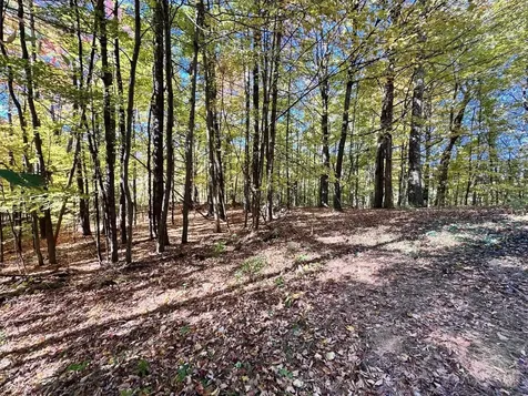 429 Coy Hill Road Middletown Springs VT 05757