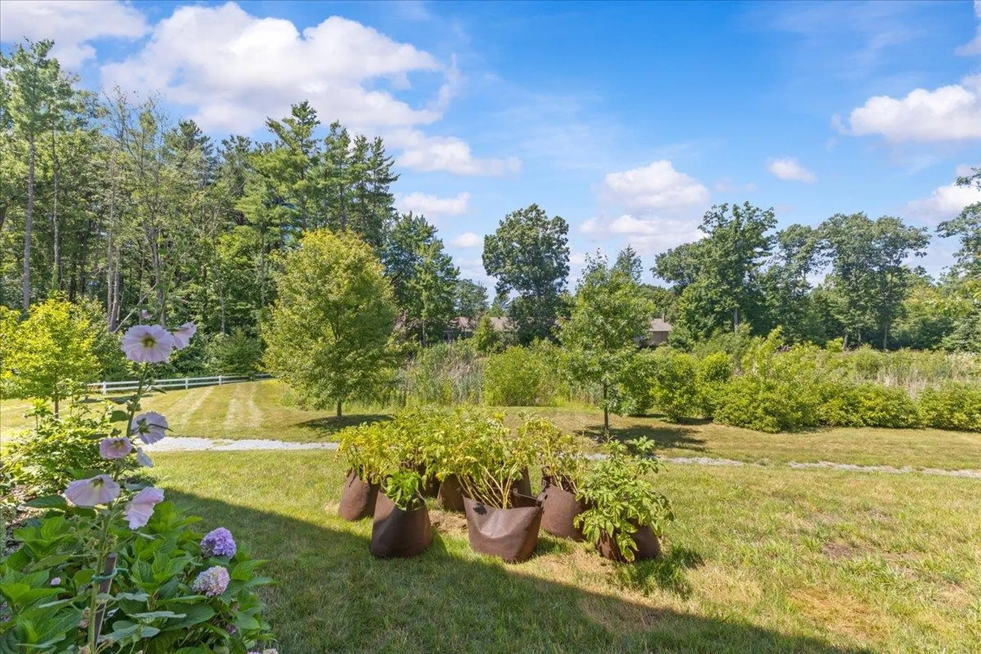 341 O'brien Farm Road South Burlington VT 05403