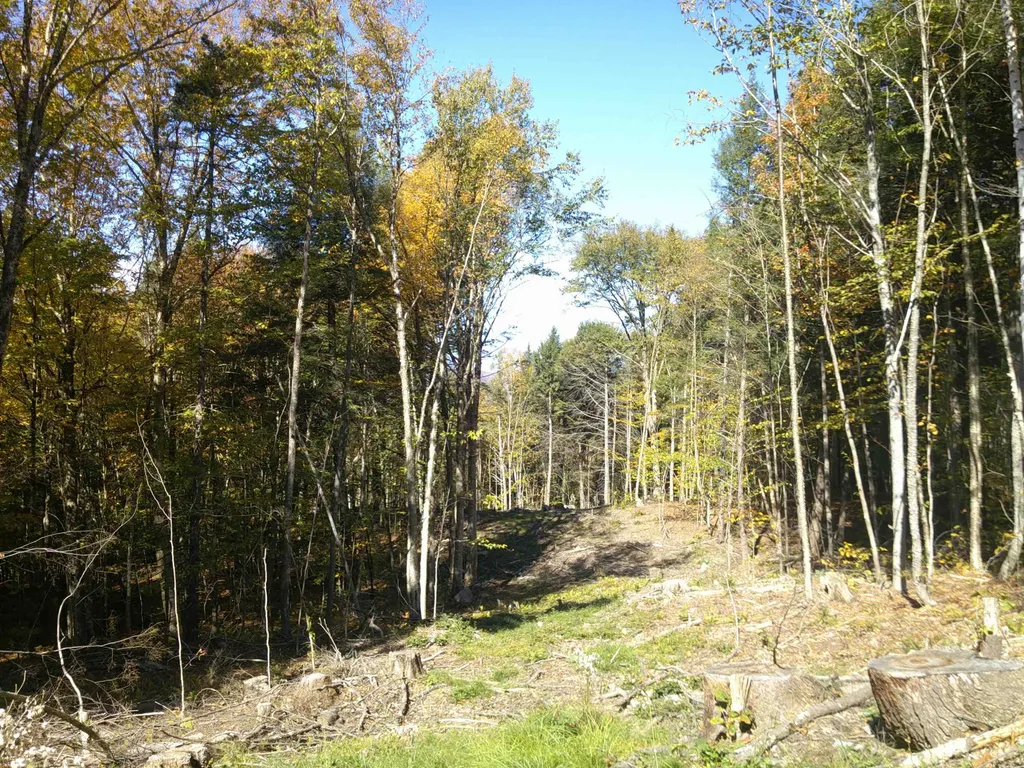 0 Dogwood Springs Road Stowe VT 05672