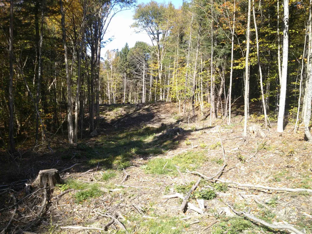 0 Dogwood Springs Road Stowe VT 05672