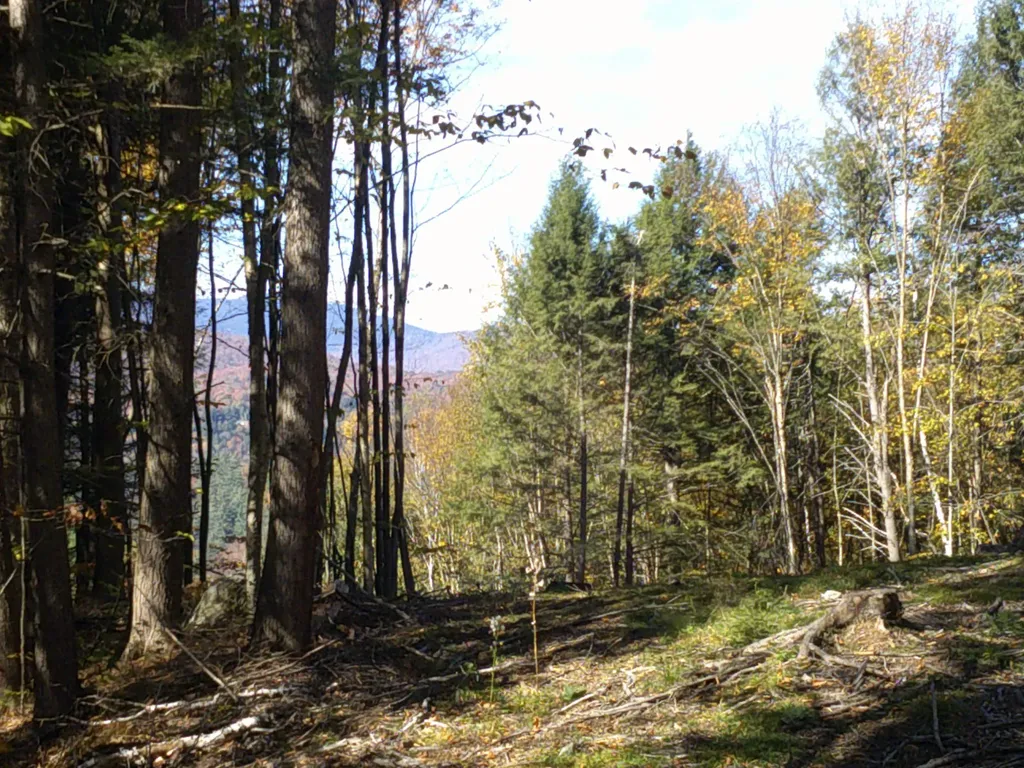 0 Dogwood Springs Road Stowe VT 05672