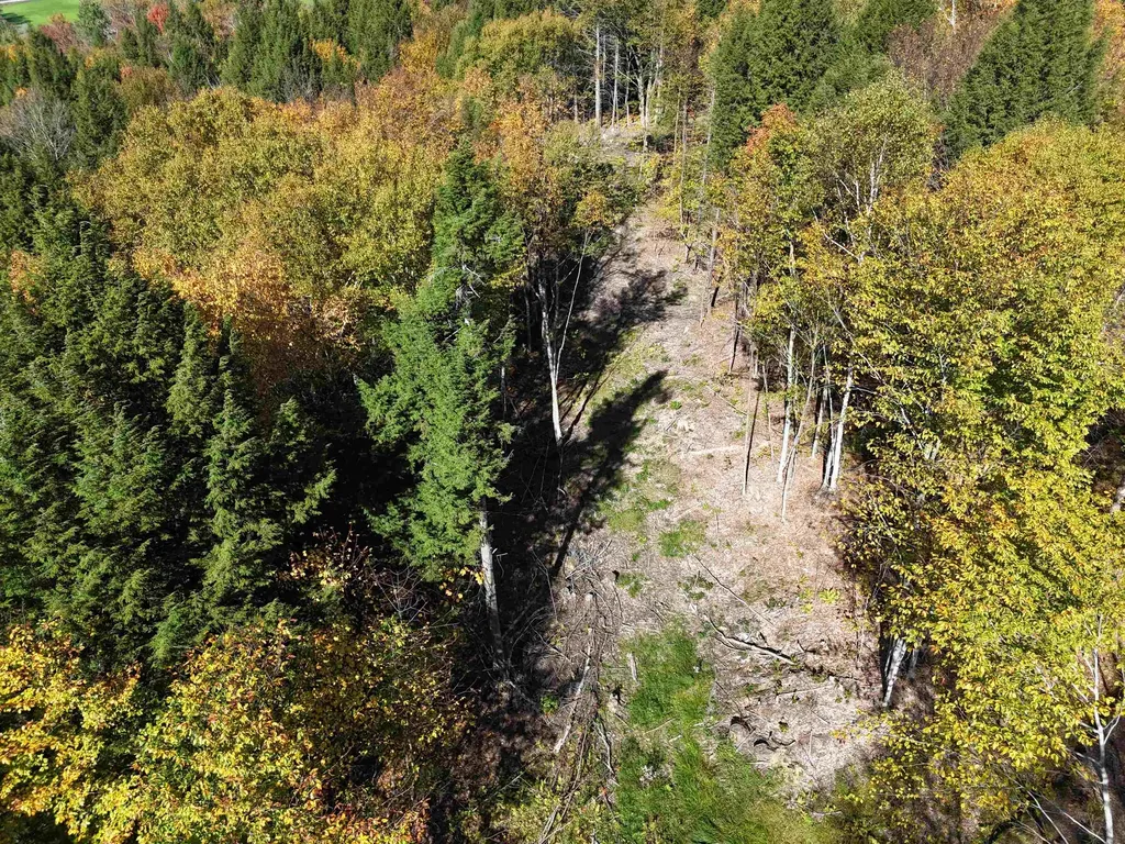 0 Dogwood Springs Road Stowe VT 05672