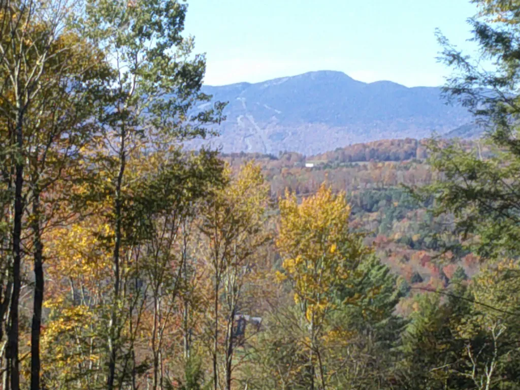 0 Dogwood Springs Road Stowe VT 05672