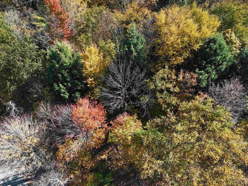 0 Dogwood Springs Road Stowe VT 05672