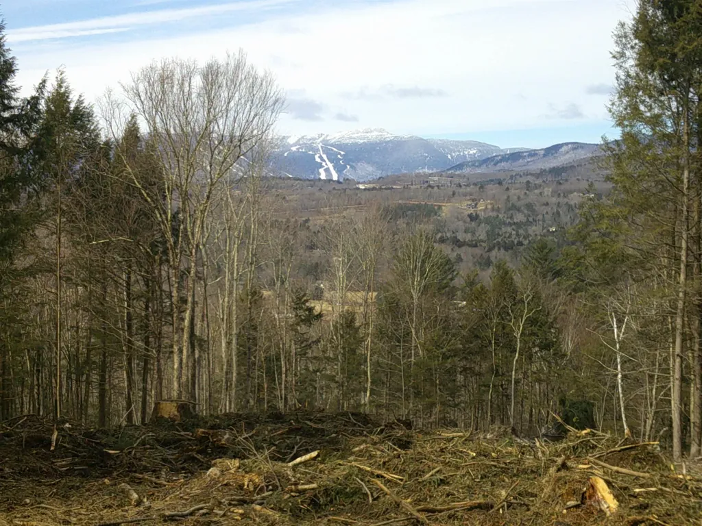 0 Dogwood Springs Road Stowe VT 05672
