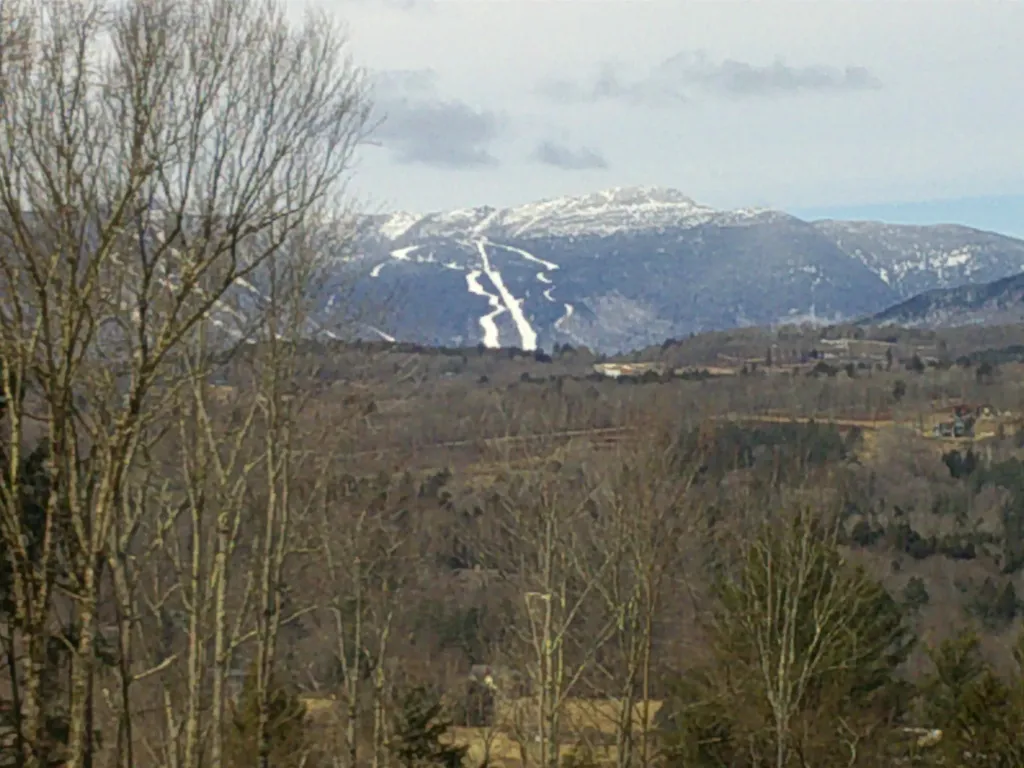 0 Dogwood Springs Road Stowe VT 05672