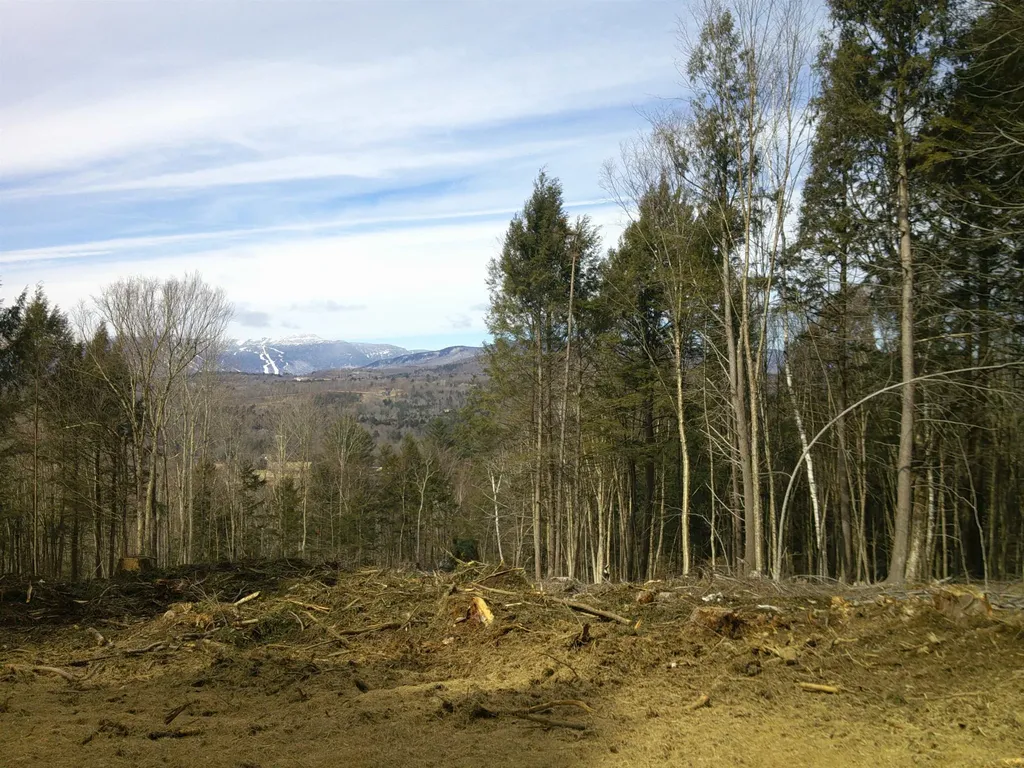 0 Dogwood Springs Road Stowe VT 05672