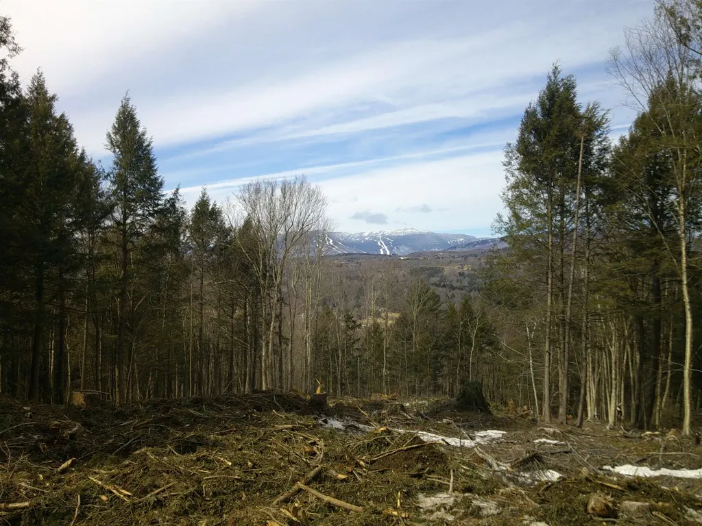0 Dogwood Springs Road Stowe VT 05672