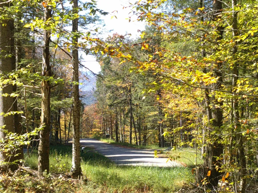 0 Dogwood Springs Road Stowe VT 05672