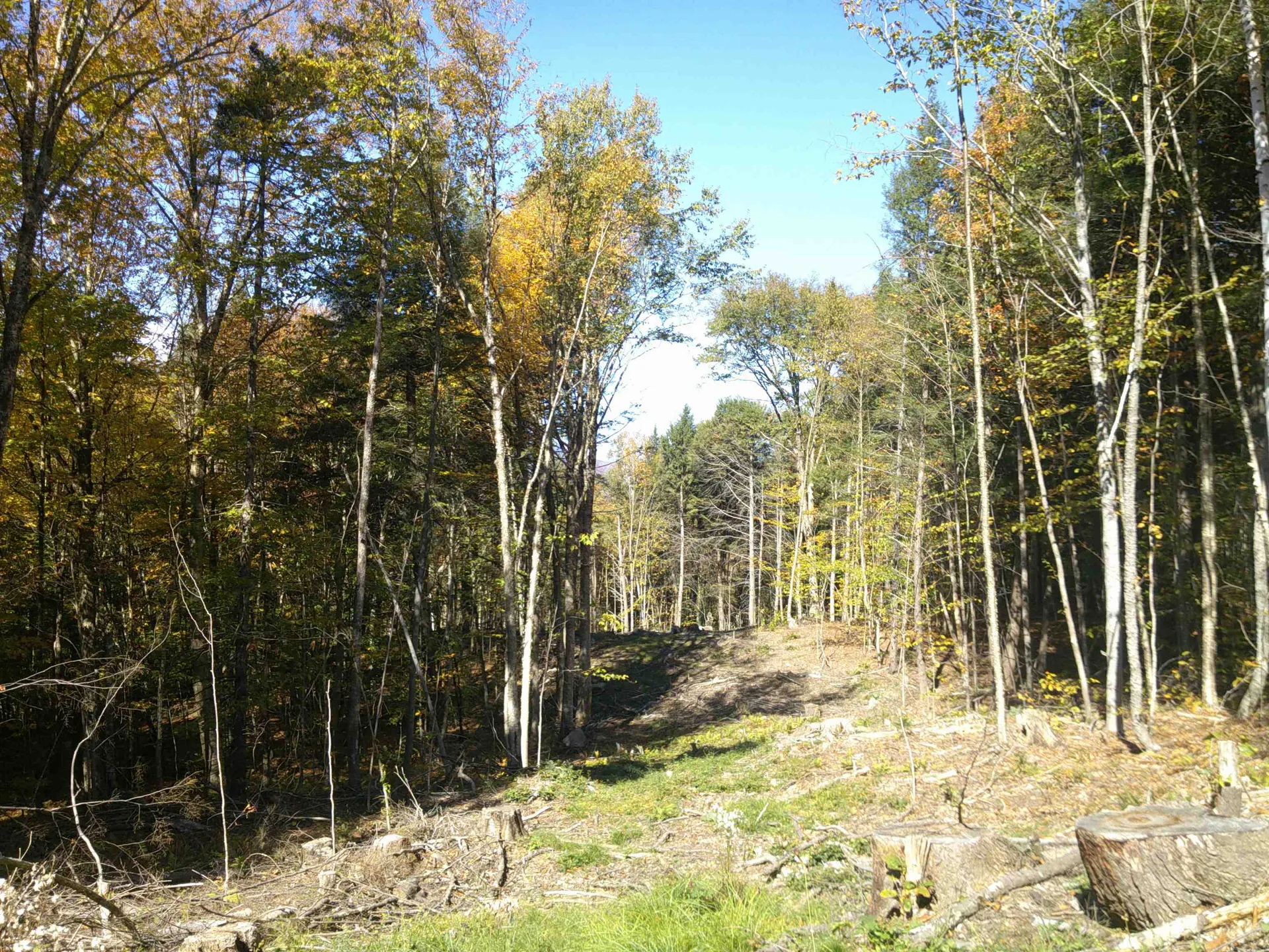 0 Dogwood Springs Road Stowe VT 05672