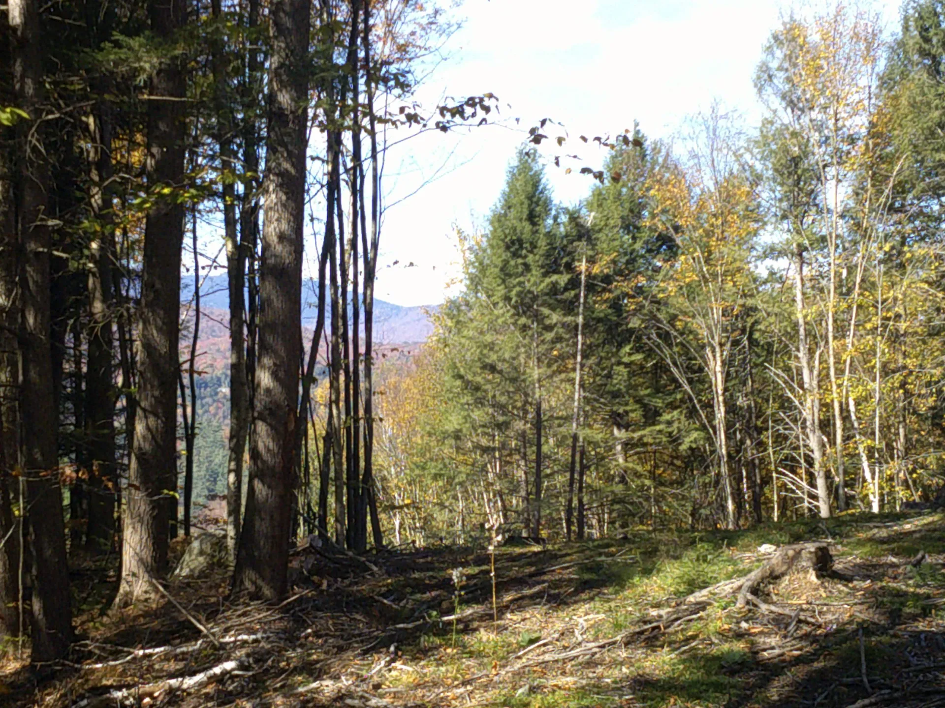 0 Dogwood Springs Road Stowe VT 05672