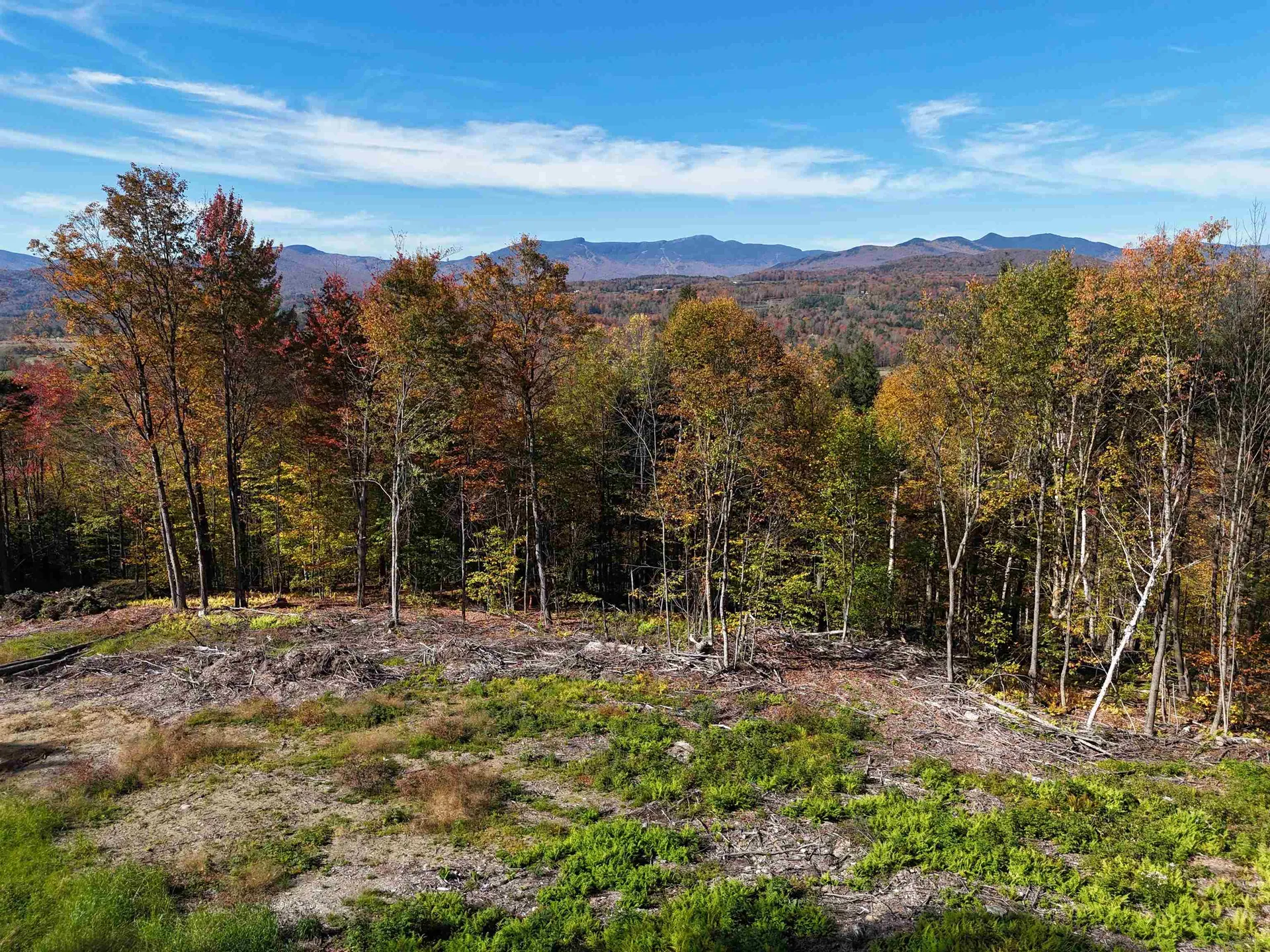 0 Dogwood Springs Road Stowe VT 05672