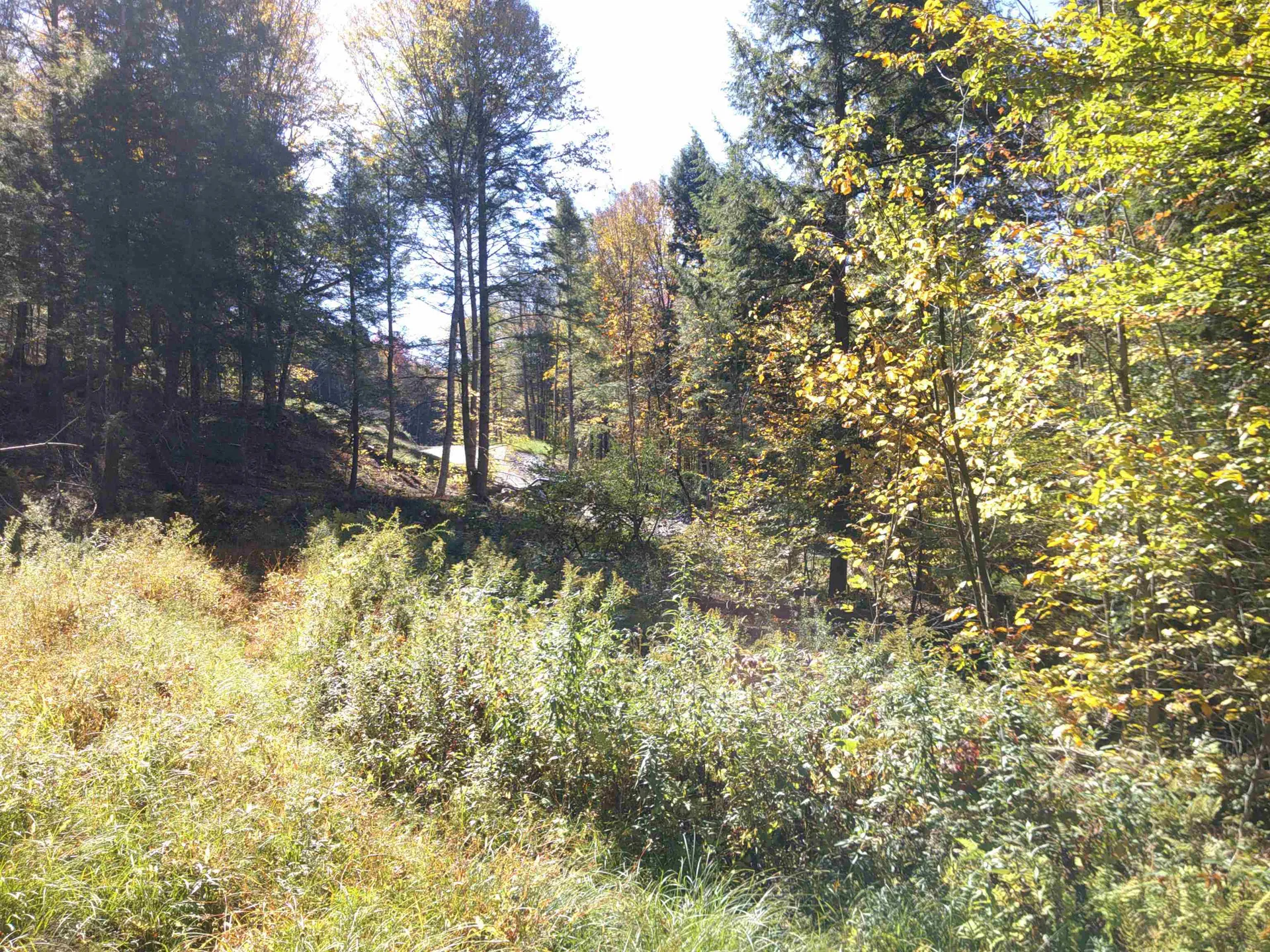 0 Dogwood Springs Road Stowe VT 05672