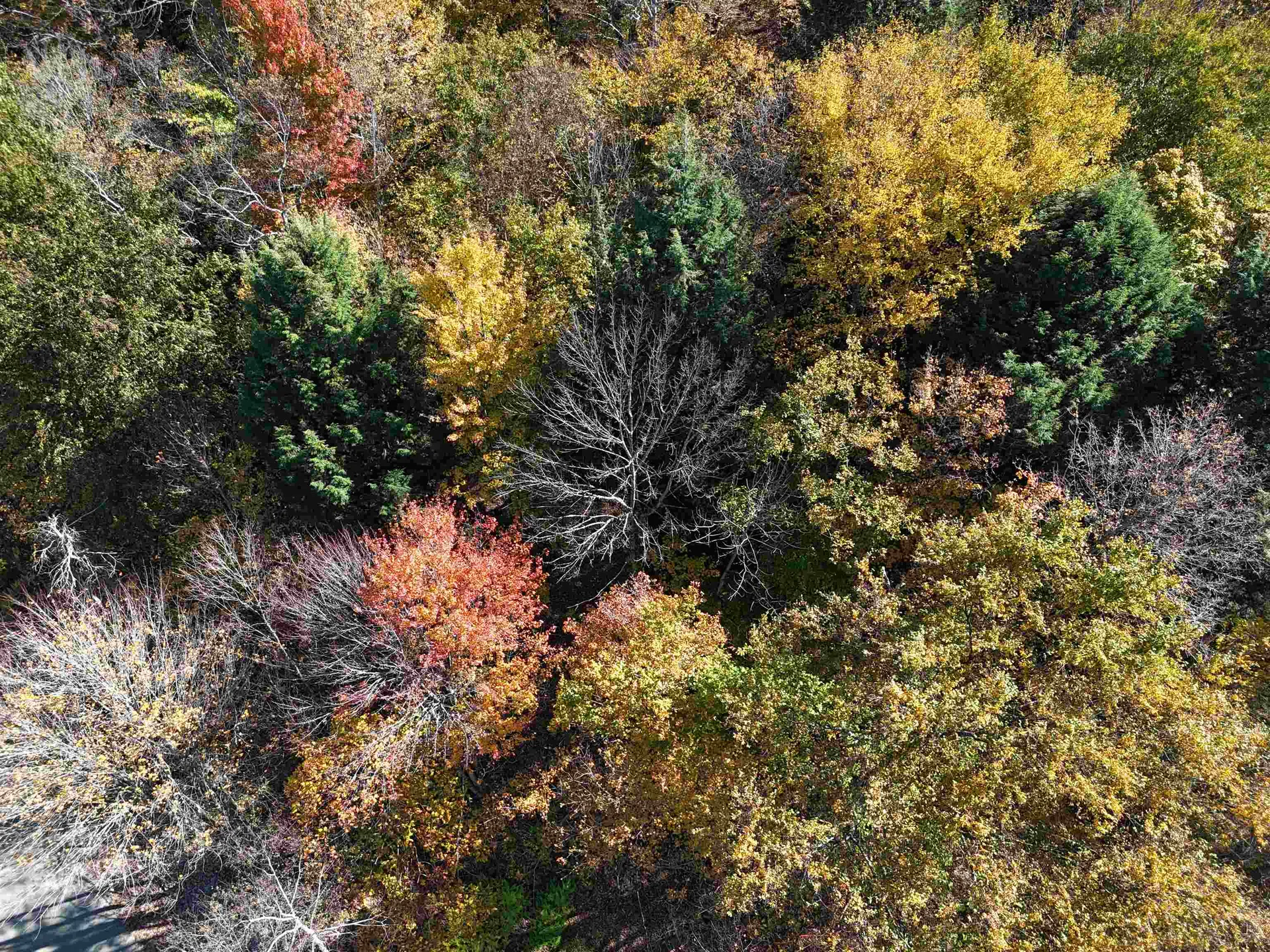 0 Dogwood Springs Road Stowe VT 05672