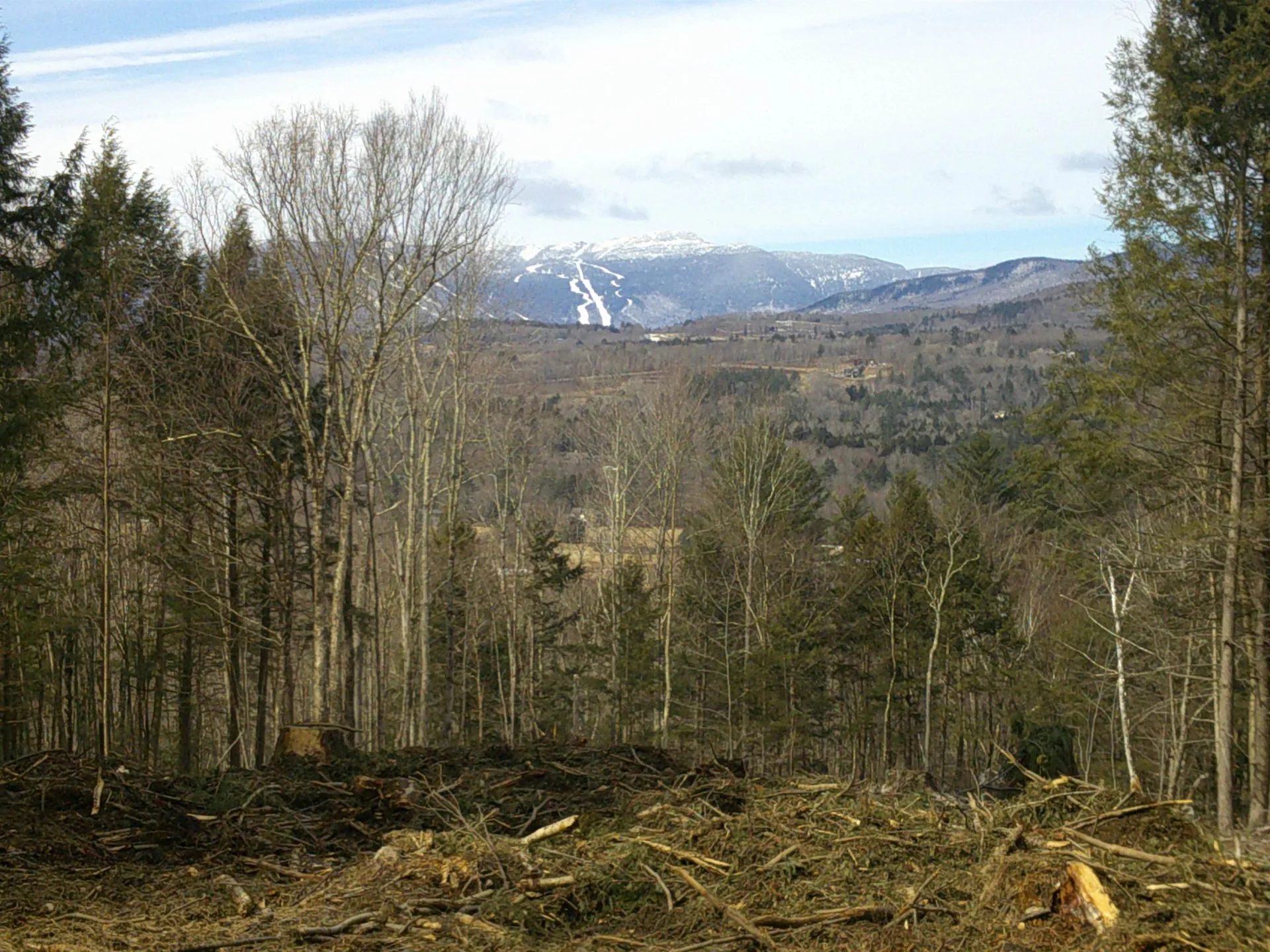 0 Dogwood Springs Road Stowe VT 05672