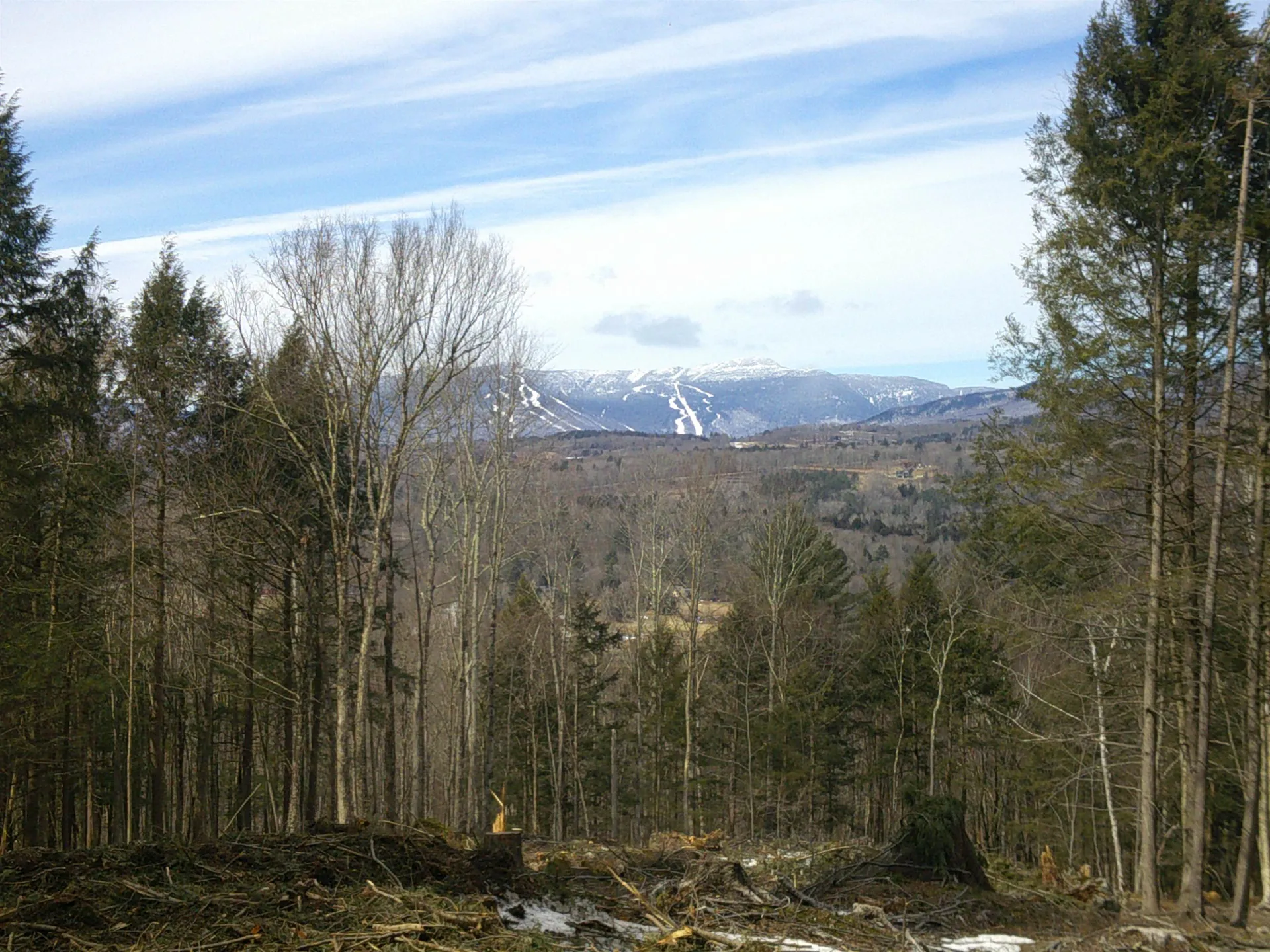 0 Dogwood Springs Road Stowe VT 05672