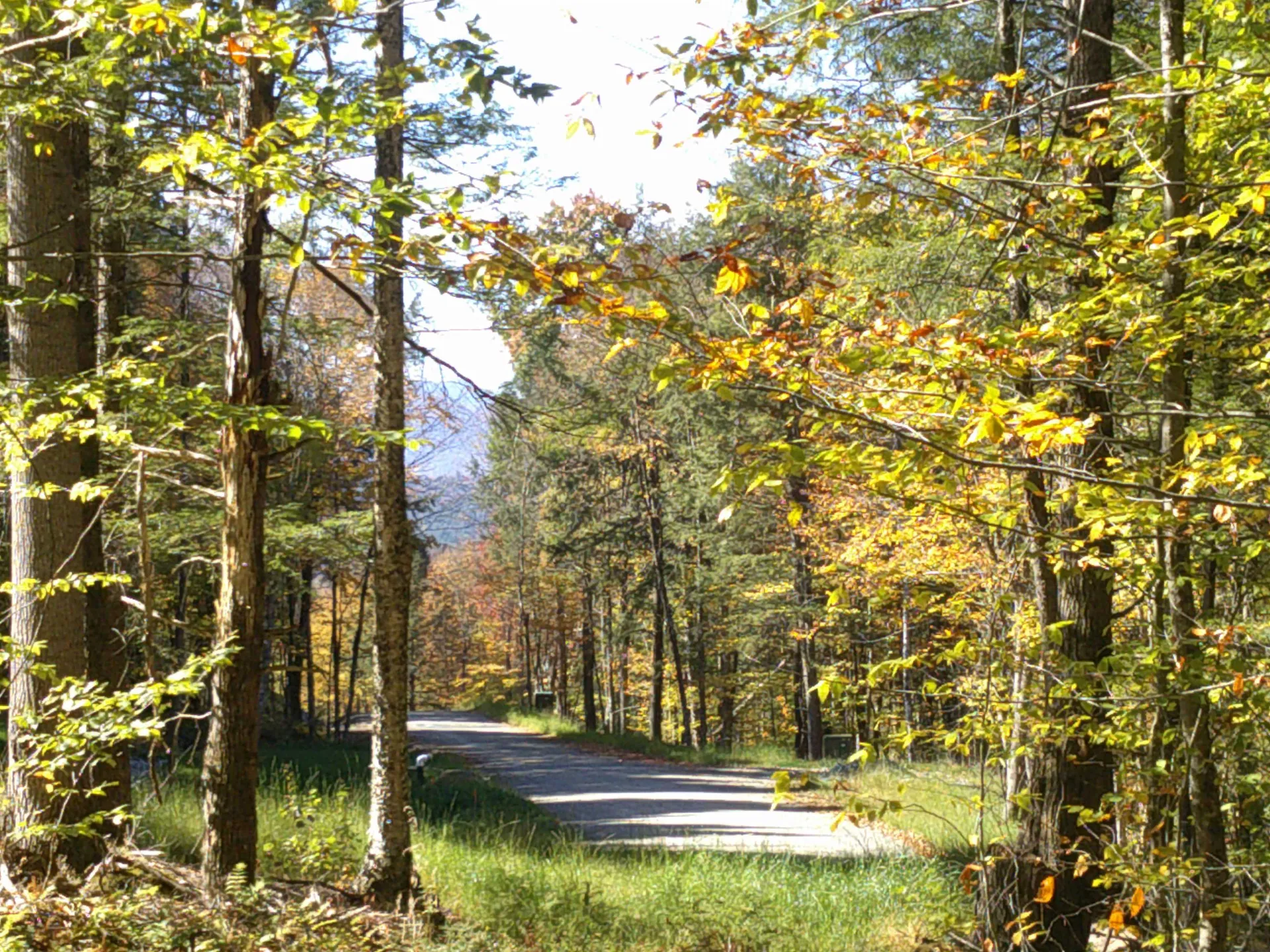 0 Dogwood Springs Road Stowe VT 05672