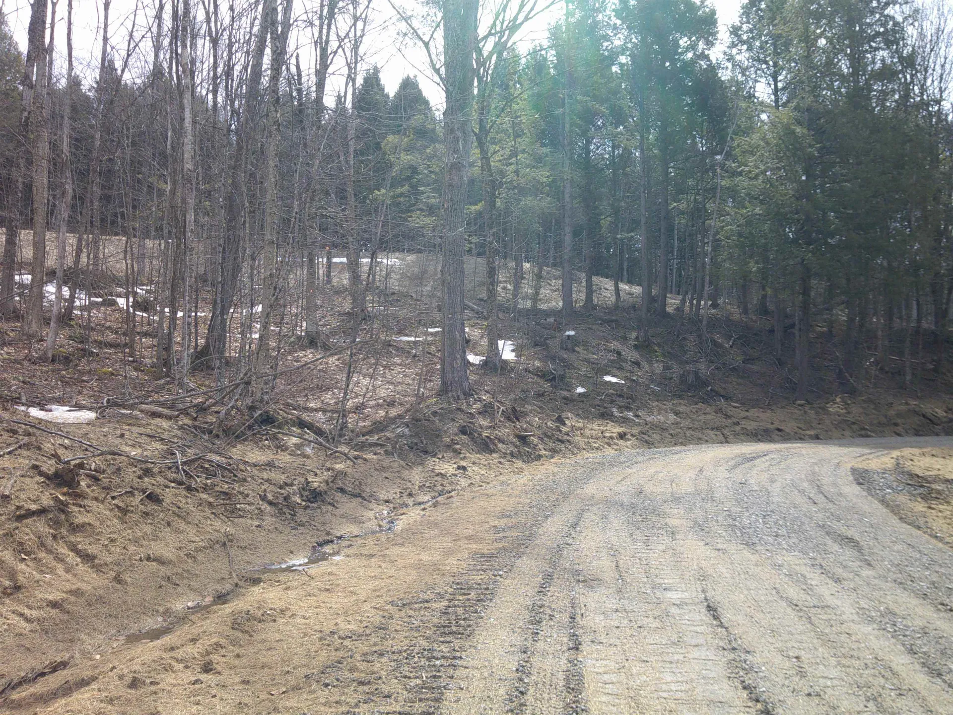 0 Dogwood Springs Road Stowe VT 05672