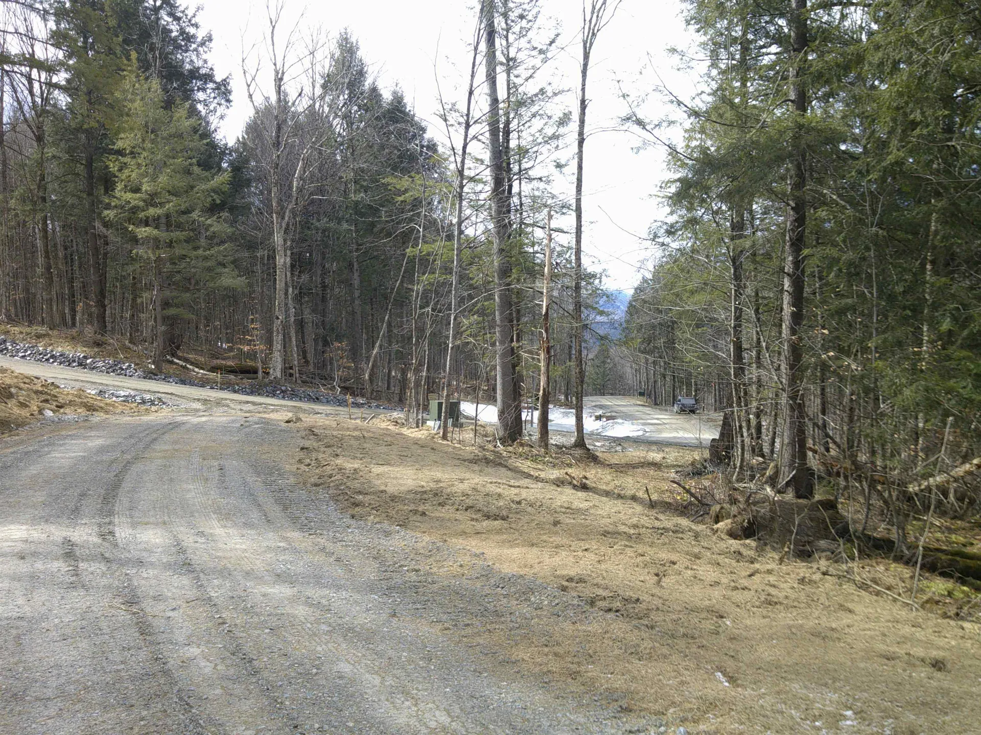 0 Dogwood Springs Road Stowe VT 05672