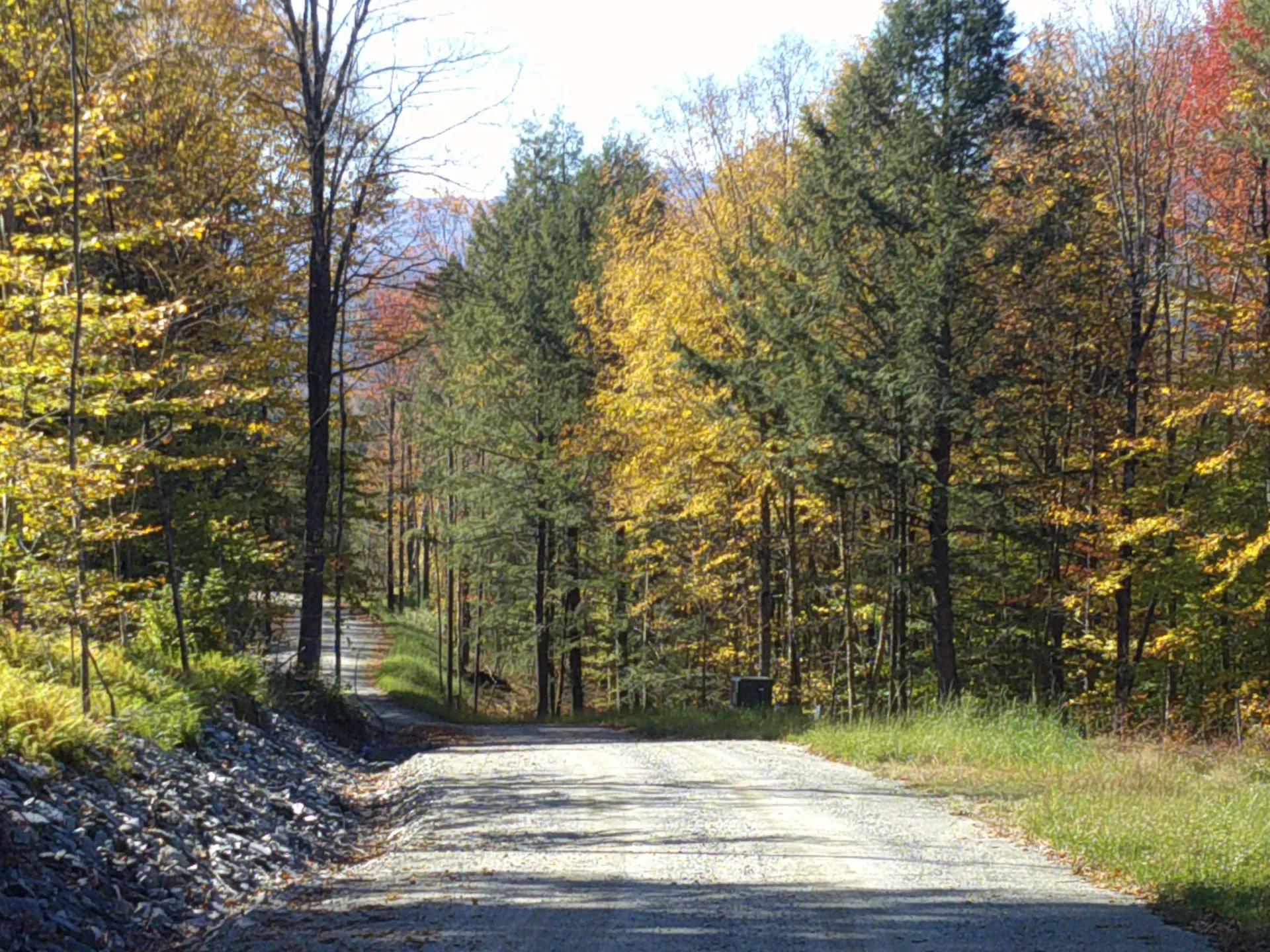 0 Dogwood Springs Road Stowe VT 05672