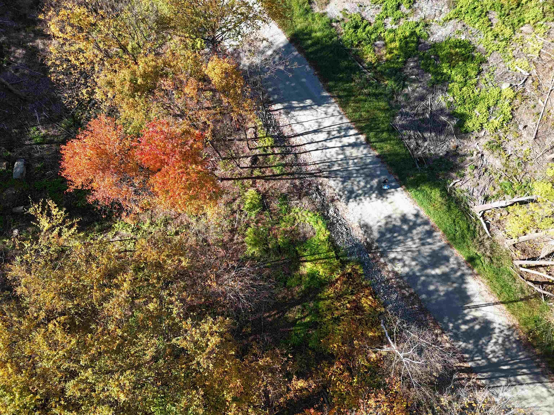 0 Dogwood Springs Road Stowe VT 05672