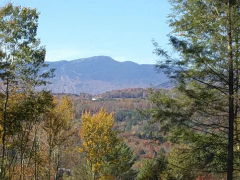 0 Dogwood Springs Road Stowe VT 05672