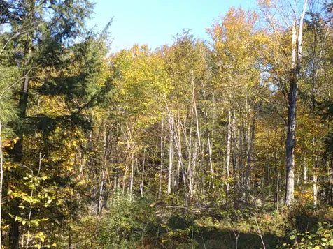 0 Dogwood Springs Road Stowe VT 05672