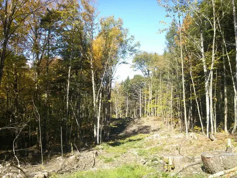 0 Dogwood Springs Road Stowe VT 05672