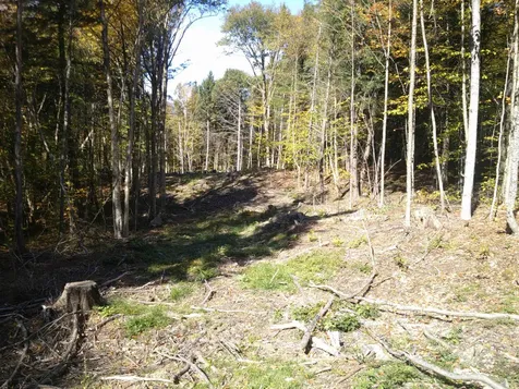 0 Dogwood Springs Road Stowe VT 05672