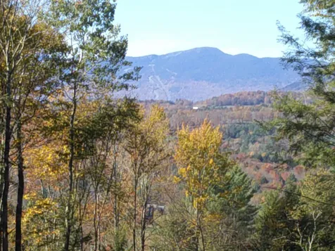 0 Dogwood Springs Road Stowe VT 05672