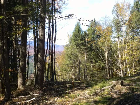 0 Dogwood Springs Road Stowe VT 05672