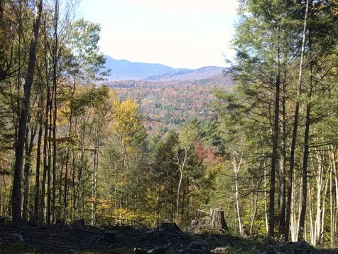 0 Dogwood Springs Road Stowe VT 05672