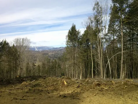 0 Dogwood Springs Road Stowe VT 05672