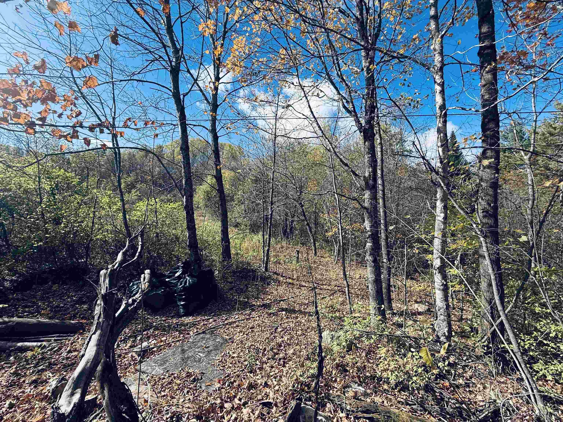 45 Emerson Road Topsham VT 05076